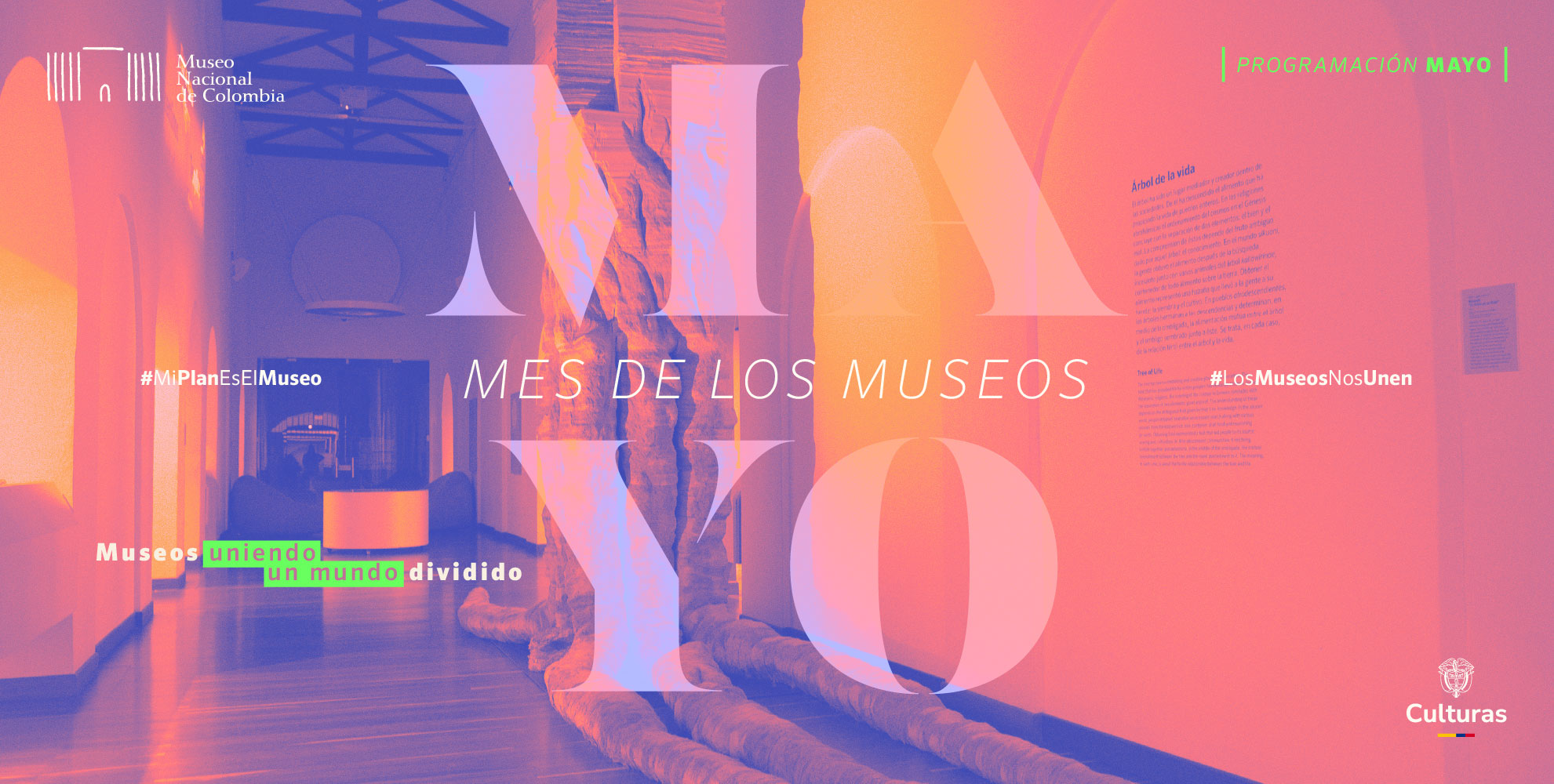 Banner Web